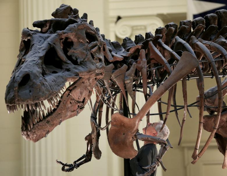 what is the strongest dinosaur