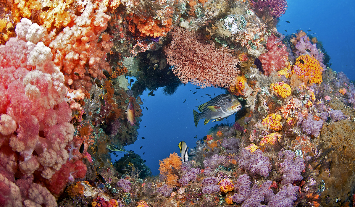 Is It Safe To Travel To Sharm El Sheikh Is It Safe To Travel To Sharm El Sheikh