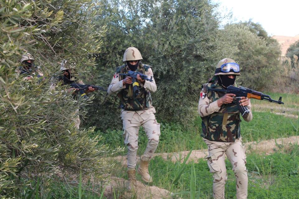 Sisi says defaming Egyptian security forces is 'high treason'