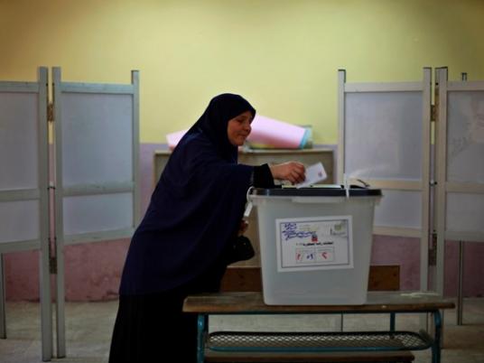 International bodies welcome to monitor Egyptian election: foreign minister