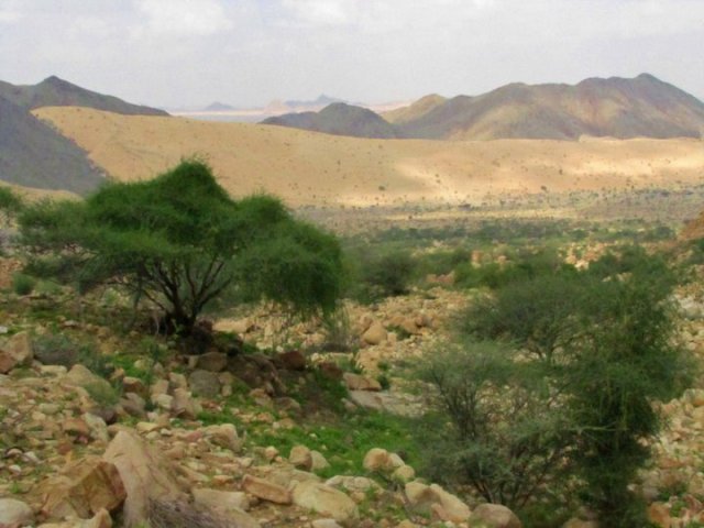 Gebel Elba, Egypt's Garden of Eden, is threatened Egypt Independent