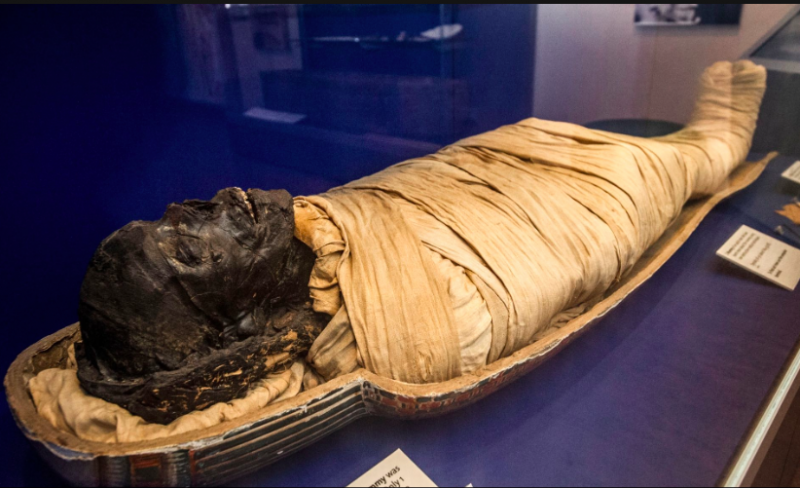 New Mummy Room Ancient Egyptian Artifacts To Be Installed At Britain 